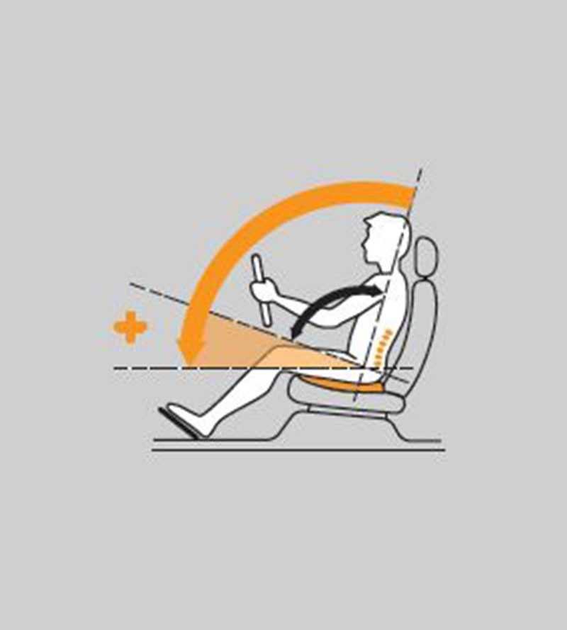 Lumbar + seat cushion