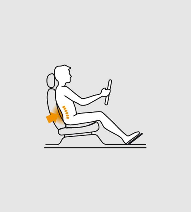 Lumbar + seat cushion